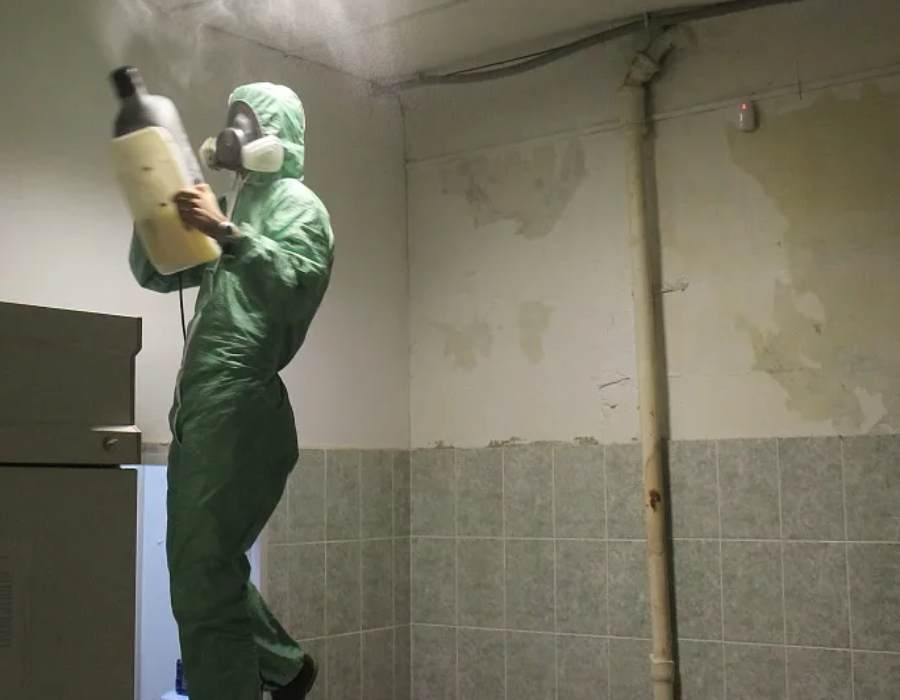 Дезинсекция склада для уничтожения тараканов Дезинсекция склада для уничтожения тараканов